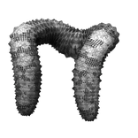 Snake Printed Fluffy Boa