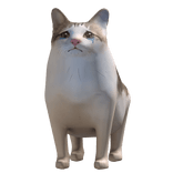 Sobbing Bao Cat Meme Pal