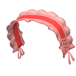 Soft Coquette Headband