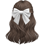 Soft Flowy Half up Hair w/ white Bow (Brown)