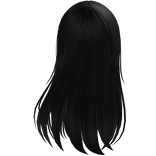 Soft Layered Straight Hair - Black