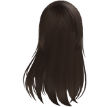 Soft Layered Straight Hair - Brown