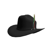 Sombrero SinaIonse 10000x