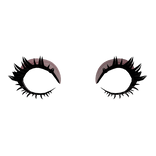 SororityEyeshadowLashesCombo