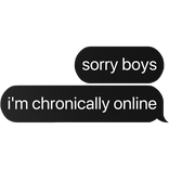sorry boys i'm chronically online text