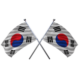 🇰🇷 South Korea Shoulder Double Flag