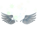 Sparkling Angel Wings