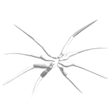 Spider Legs - White