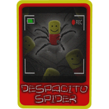 Spider Trading Card