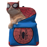 Spiderman Backpack w/ Spider Cat