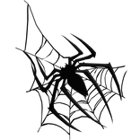 Spiderman Spider Web Eye-Patch