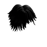 Spikey Messy Hair In Black