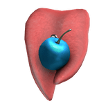 Split Pierced Tongue with Blueberry