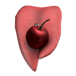 Split Pierced Tongue with Cherry 