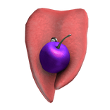 Split Pierced Tongue with Grape