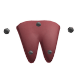 Split Tongue w Piercings