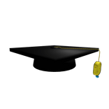 Sponge Mortarboard