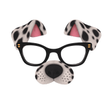 Spotted Dog Glasses Filter