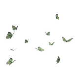 Spring Butterfly Aura Green