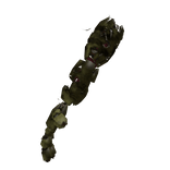 springskellyR