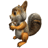 Squirrel Pet 