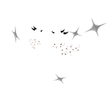 SSHF Lashes + Celebrity bling + freckles