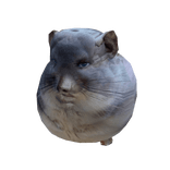 staring chinchilla meme