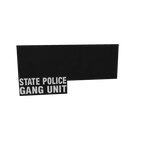 State Police Gang Unit LBV Patches ALT