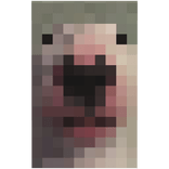 Steven Walter Dog Meme Cape