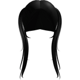 straight high pigtails in black