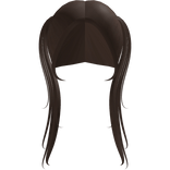 straight high pigtails in brown
