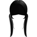 straight low pigtails in black