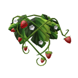 STRAW_Strawberry_Vine_Back