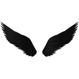 stygian wings