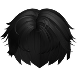 Stylish Straight Black Hair