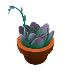 Succulent Hat