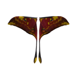 Sulawesi Moon Moth Wings