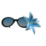 Summer Blue Flower and Black Sunglasses