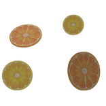 Summer Citrus Fruit Slices 1.0