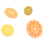 Summer Citrus Fruit Slices 3.0