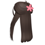 Summer Clipped Half Up Brown