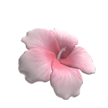 Summer Hibiscus Flower