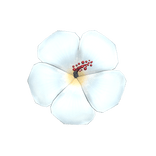 🌸 Summer Hibiscus Hairclip 🌸