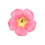 🌸 Summer Hibiscus Hairclip 🌸