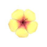 🌸 Summer Hibiscus Hairclip 🌸