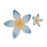 🌸 Summer Hibiscus Hairclip Blue 🌸