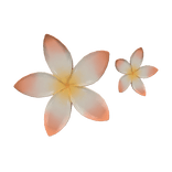 🌸 Summer Hibiscus Hairclip Yellow 🌸