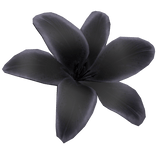 Summer Tropical Lily Flower (Black)
