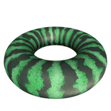 Summer Watermelon Floaty