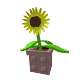 Sunflower in a Friendship Pot (Grow a Garden)